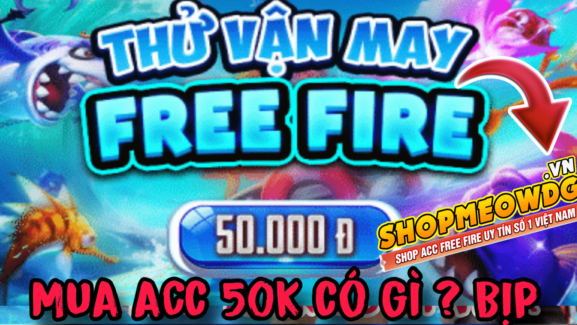 Mua Acc Free Fire 50K Shop Meow Dgame Có Gì ? Mua Acc Shop Meow Dgame Có Uy Tín Không ? Review Shop Meow Dgame