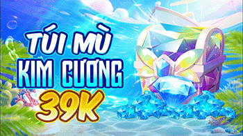 Túi Mù Kim Cương 39K